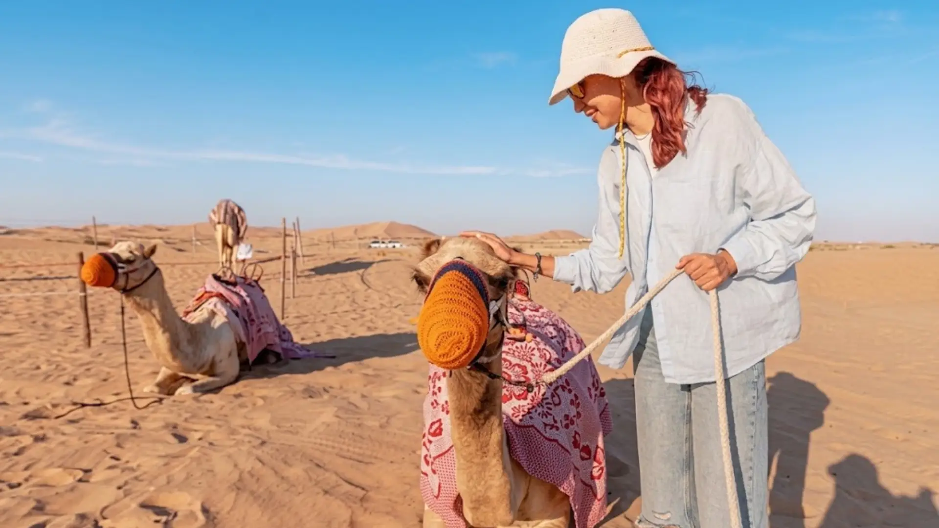 camel-in-desert
