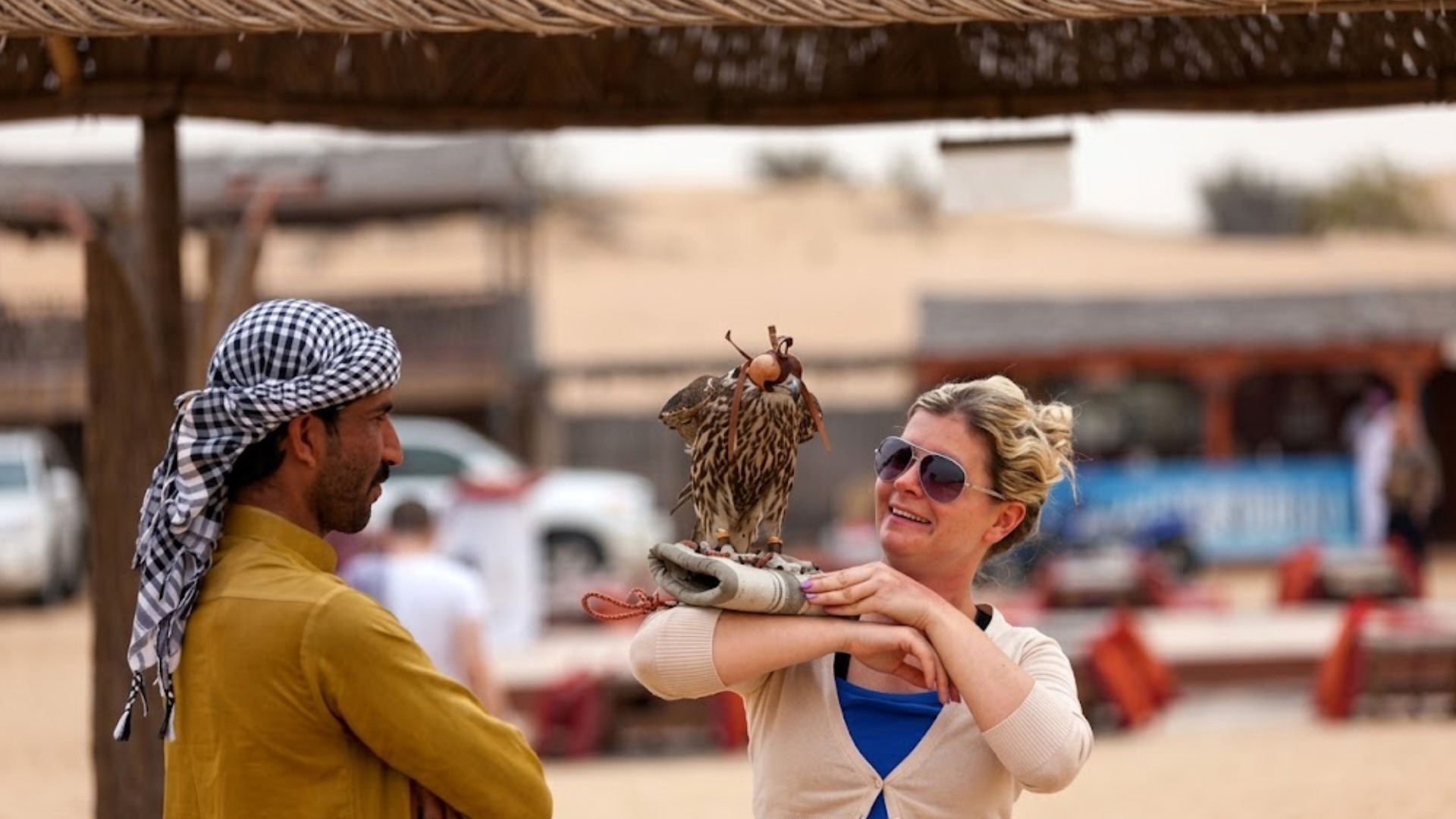 Falcon-Evening-Desert-Dubai