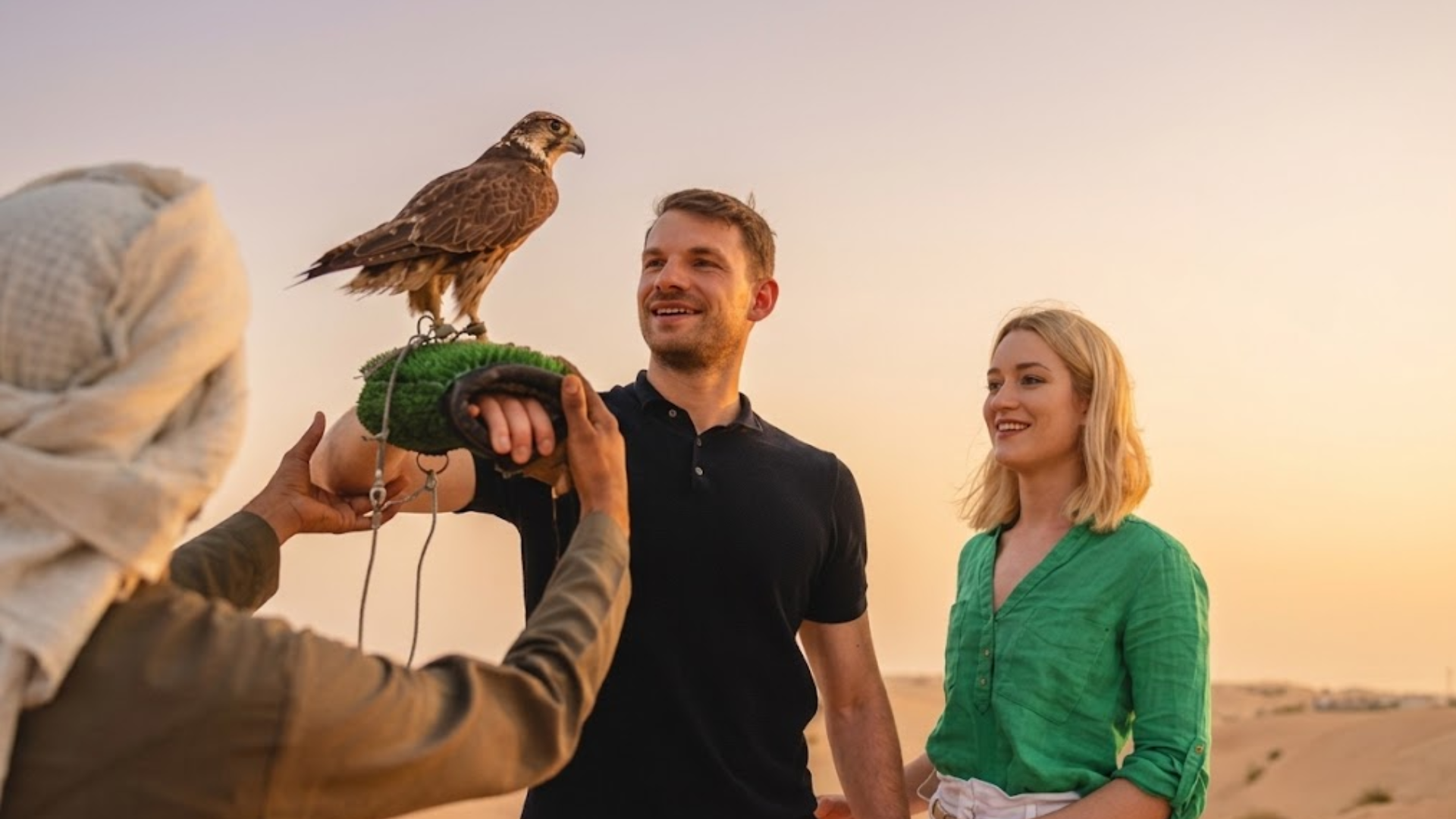 Falcon-image-in-desert