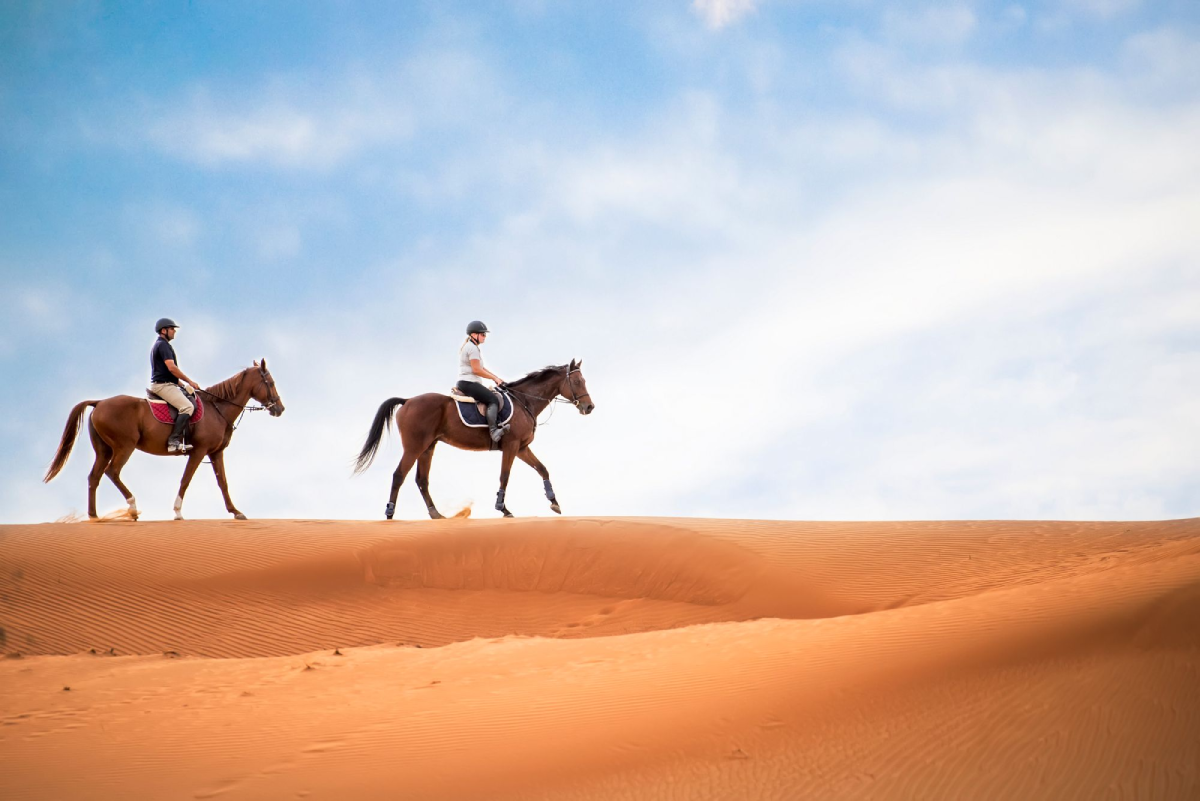 Horse Riding Desert Safari
