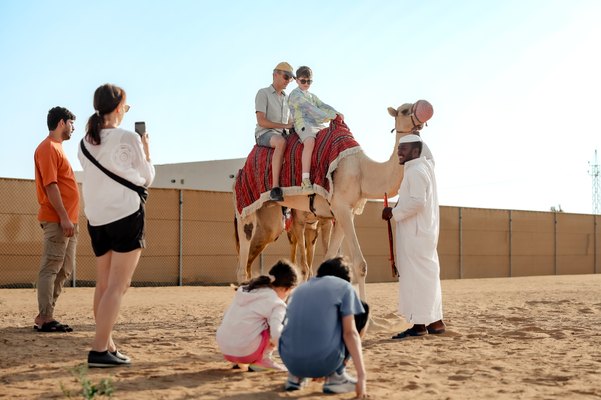 Hot-air-balloon-camel