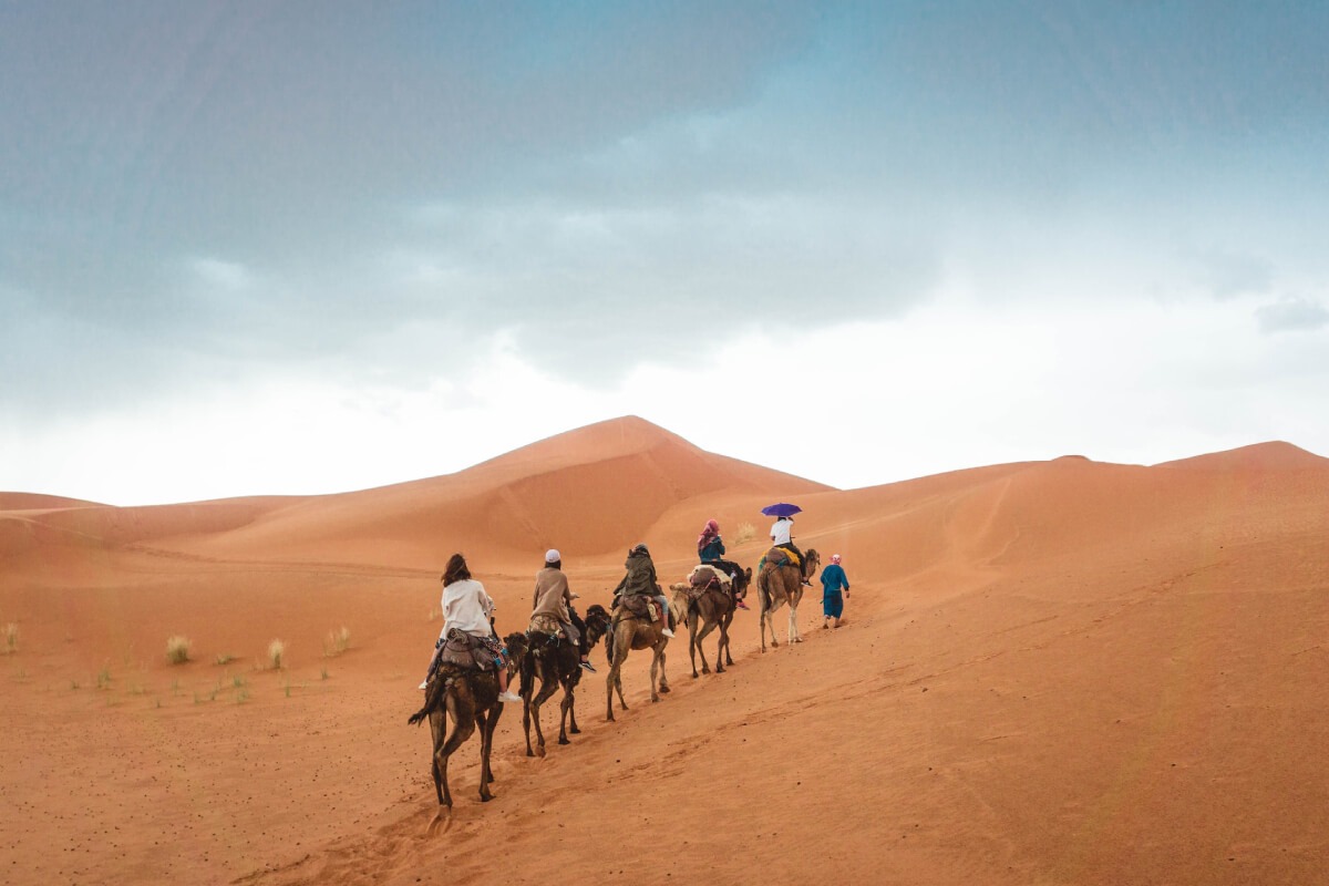 Morning Camel Ride Dubai