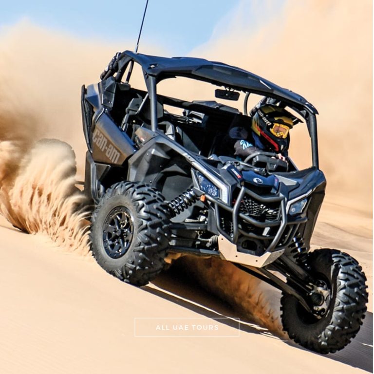 Can Am Maverick 2-Seater Dune Buggy