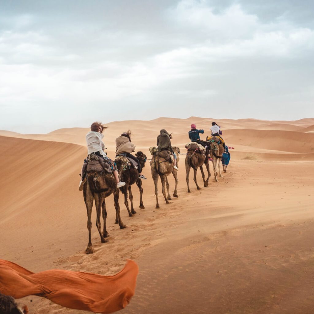 Camel Riding in Dubai Desert - Camel Desert Safari