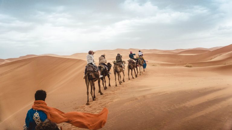 Camel Riding in Dubai Desert - Camel Desert Safari