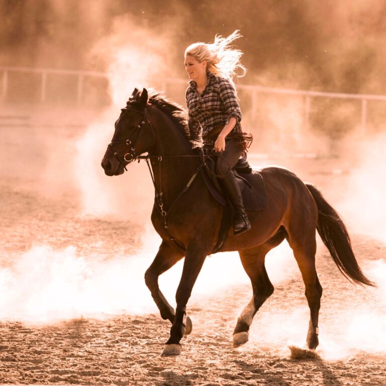 Horse-Riding-With-Desert-Safari