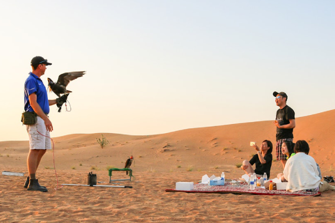 Morning Desert Safari with Breakfast