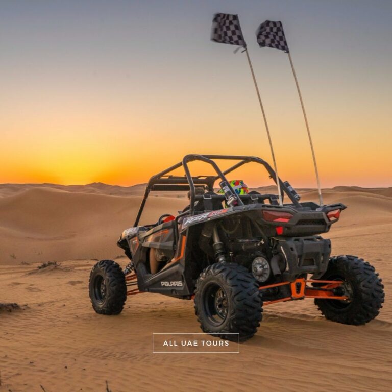 RZR Dune Buggy Dubai Tour